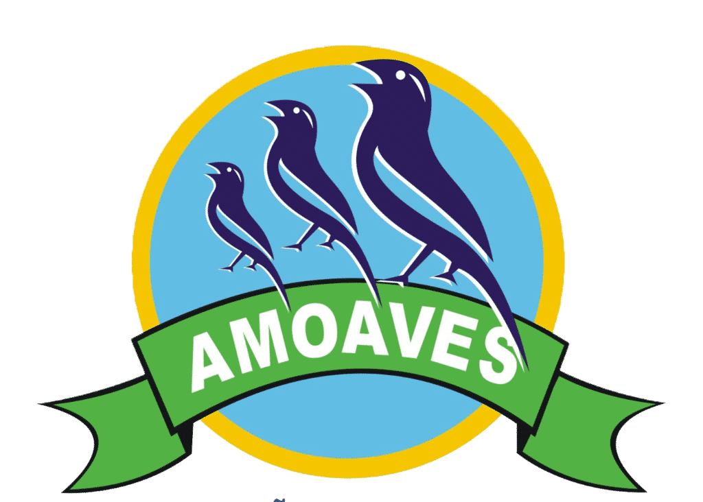 Amoaves