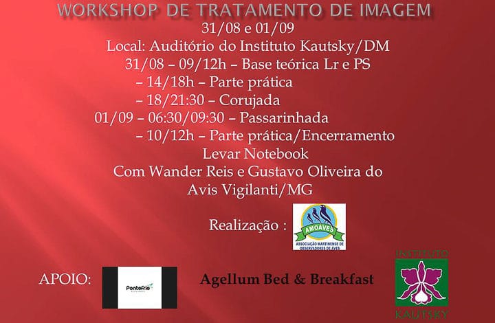 workshop de tratamento de imagem