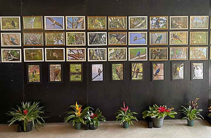 EXPOSIÇÃO CONDOMÍNIO ESPELHO D’ÁGUA