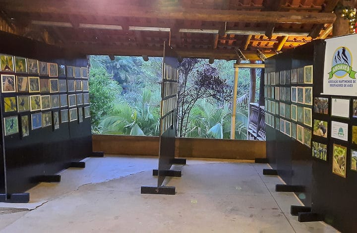 Exposição Delícias da Tilápia