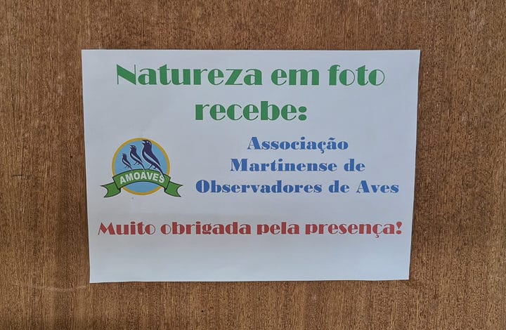 Palestras em Escolas II