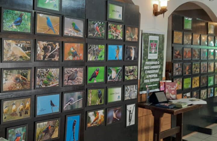 EXPOSIÇÃO DO PROJETO AVESSOS