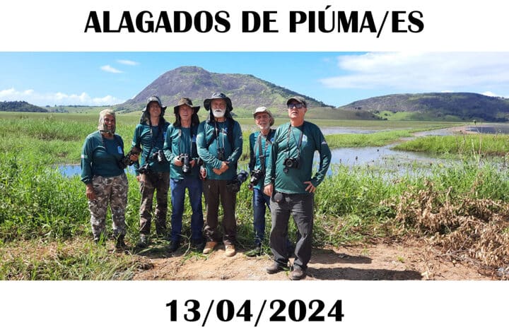 II PASSARINHADA OFICIAL/2024