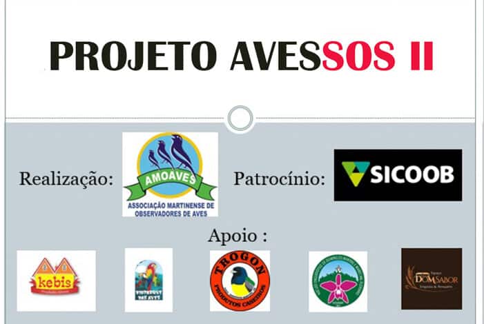 PROJETO AVESSOS II