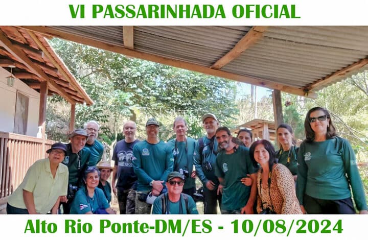 VI PASSARINHADA OFICIAL 2024
