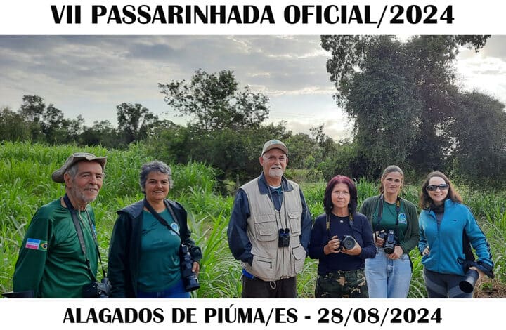 VII PASSARINHADA OFICIAL/2024