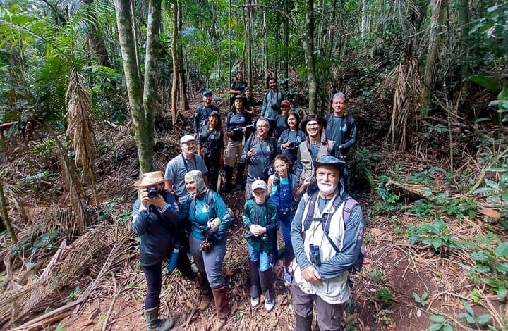 UMA NOVA TRILHA NAS MONTANHAS CAPIXABAS PARA OBSERVAÇÃO DE AVES