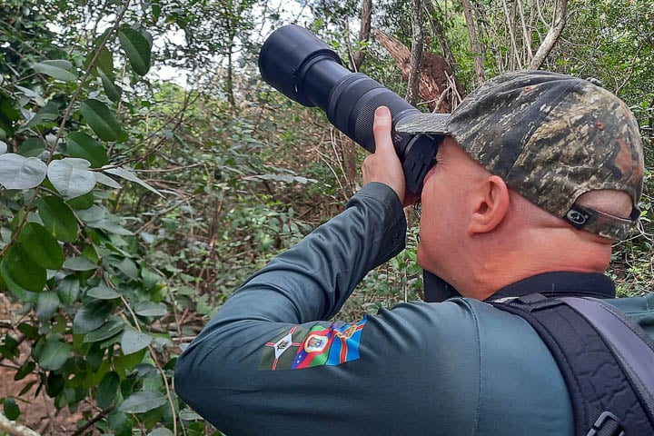 Auto das fotos