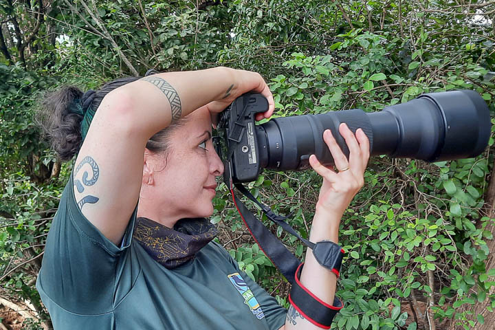 Auto das fotos