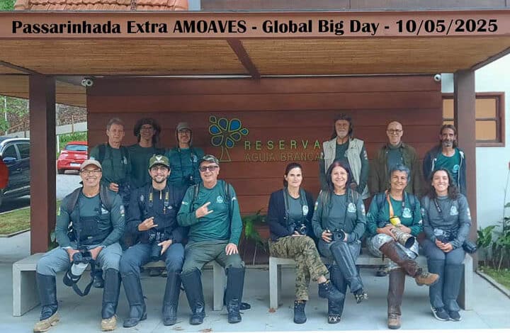 BIG DAY, DIA DE GRANDES ENCONTROS