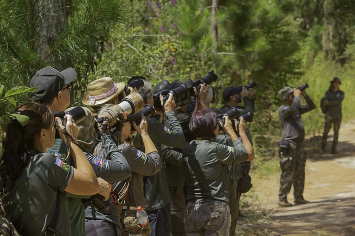PRIMEIRA PASSARINHADA 2026 – EM BUSCA DO JOÃO-BOTINA-DO-BREJO